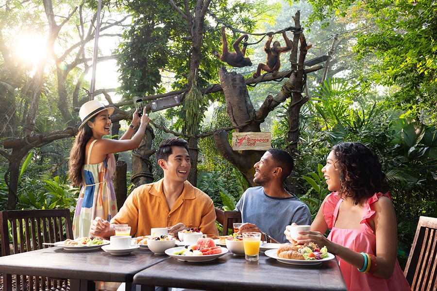 Breakfast in the Wild Experience